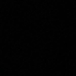 Meet your Posher, Andreya